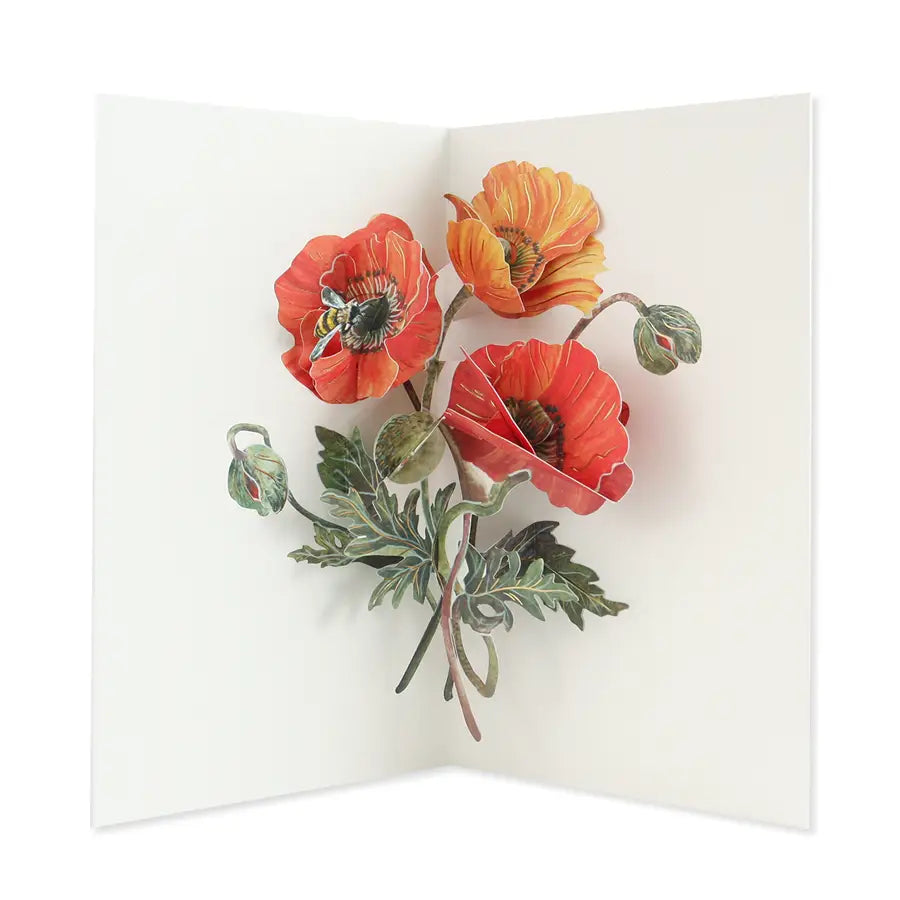 Poppies | Pop-Up Card